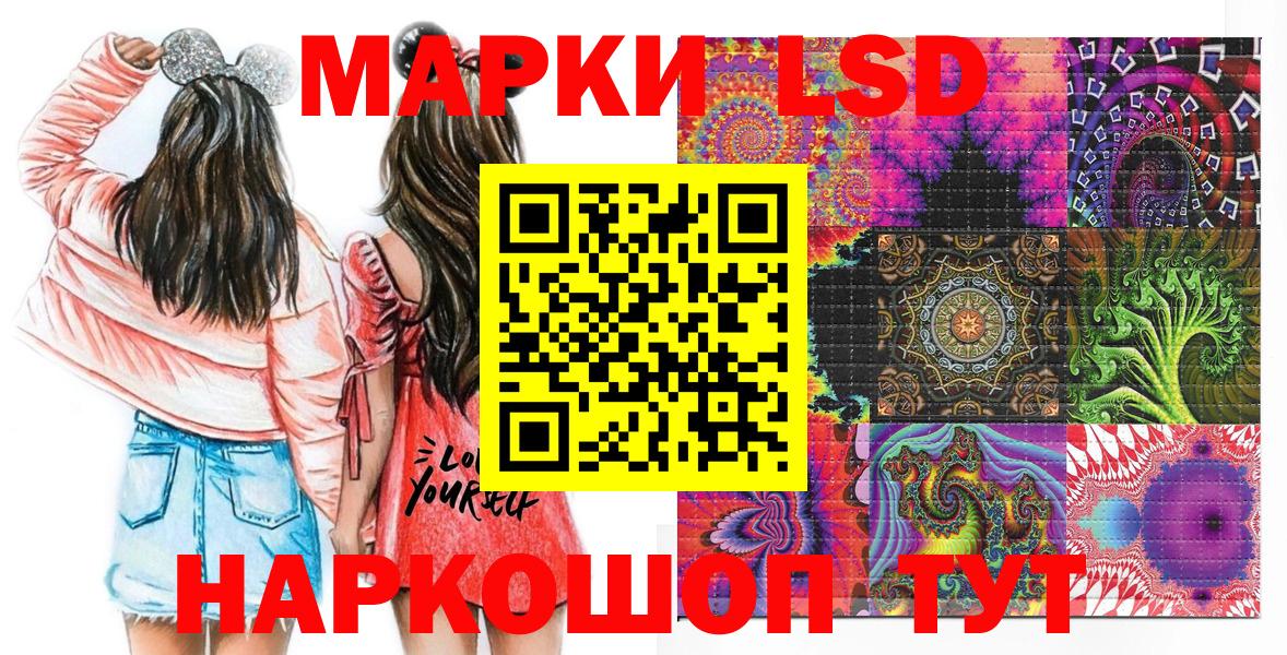Псилоцибиновые грибы Зима